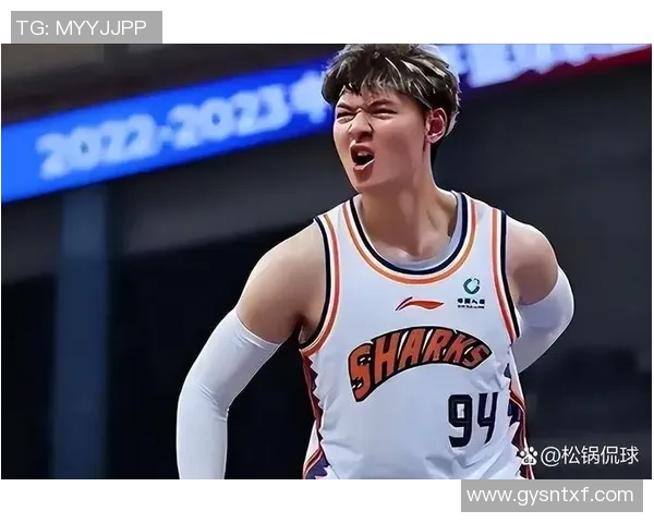 上海篮球队在世界杯积分榜上以94分稳居第一名展现强劲实力