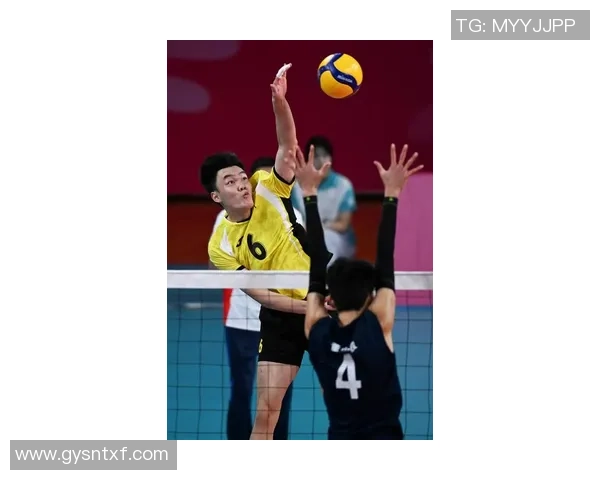 杭州排球队实力强劲最新排球力量排行榜前十名揭晓