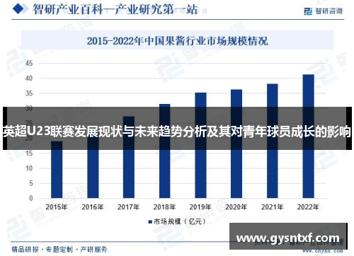 英超U23联赛发展现状与未来趋势分析及其对青年球员成长的影响